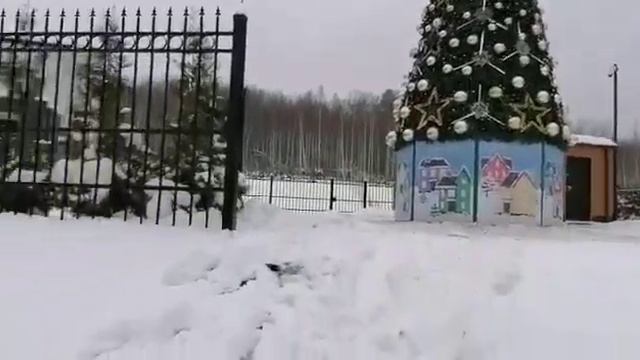 Зимушка-зима в Горках-1