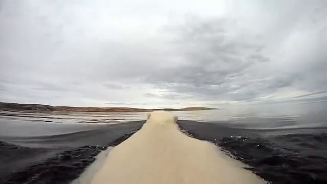 21.06.2017 Видео дня: Животные #54 / Videos of the day: Animals #54