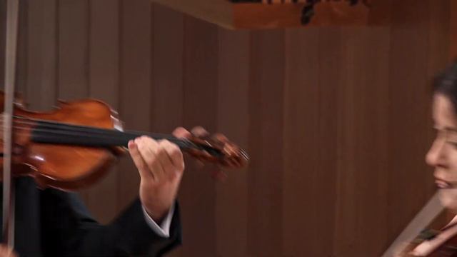 Telemann: Suite for Two Violins, "Gulliver's Travels," TWV 40:108 - Beilman and Frautschi