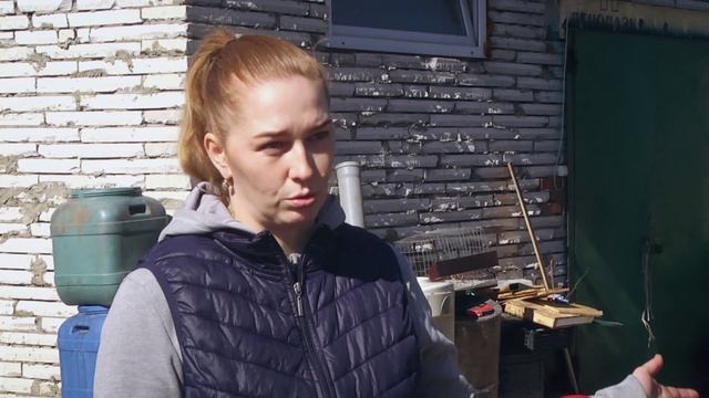 В поселке под Новосибирском поселились два черных волка: соседи в шоке