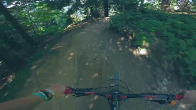Спуск по трассе Gorillaz (Гориллаз) Пилипец / PYLYPETS BIKE PARK