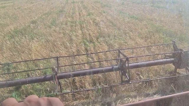 Как урожай свалить