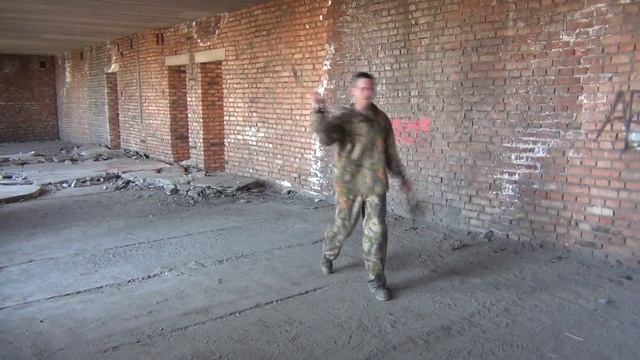 Двумя предметами