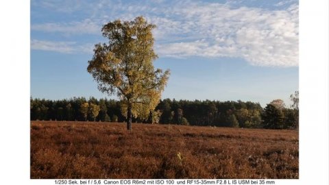 Canon EOS R6 II Kamera erster Eindruck