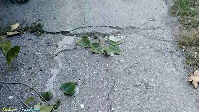 Видео Обзор Пешеходного Тротуара по ул Горького в г Керчь р Крым #реалиикрыма #крым2021 #керчь2021