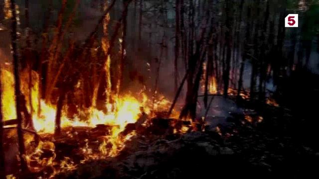 Пятый канал # Известия, 3 июля 2024
Природные пожары подошли к двум поселкам в Забайкалье