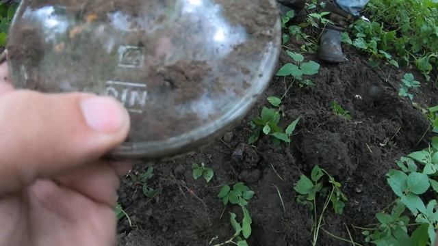 Вторая поездка в Калининград! Совместный коп с каналом @SHMURDYAK39 !!!!