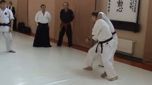 Конференция по дзю-дзюцу в Киеве. 2009 г.
