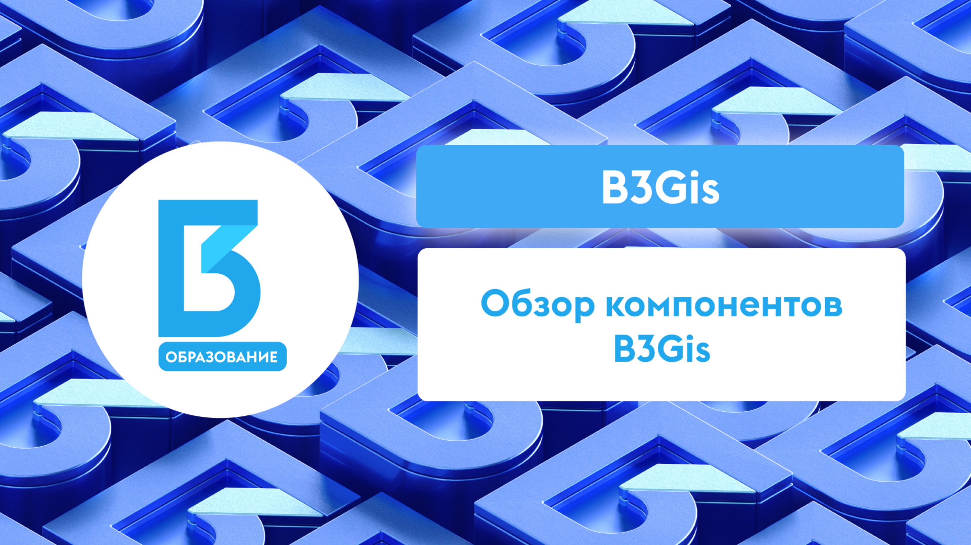 Обзор компонентов B3Gis