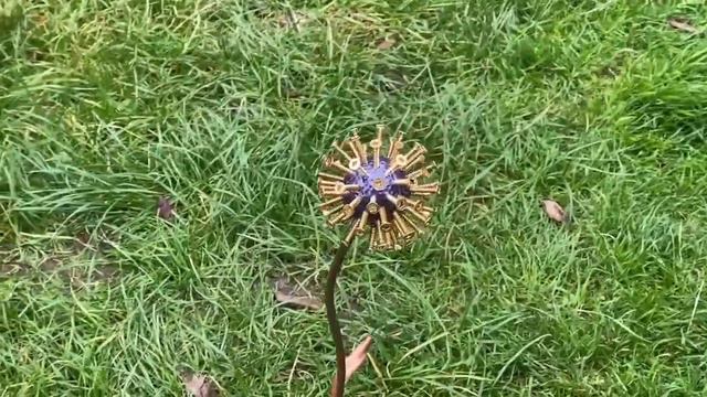 Purple Centre Dandelion Garden Gift With Heart Base