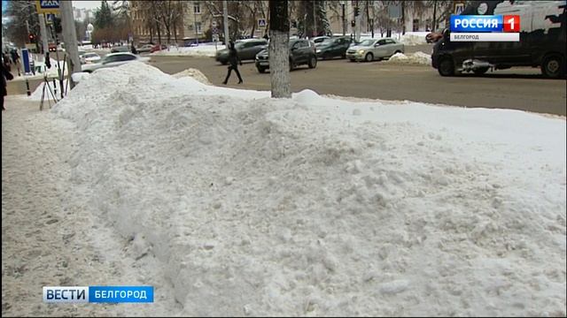 Опрос. Хорошо ли коммунальные службы справляются с работой во время снегопада?