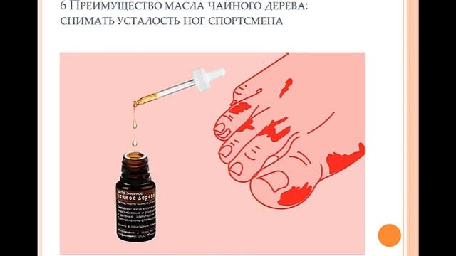 Масло эфирное Чайное дерево свойства и применение