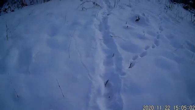 Станция Тихая РЖД все что осталось