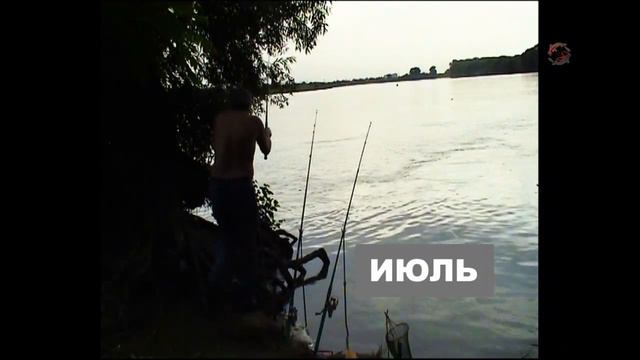 Рыбалка. река Кубань. Ловля на донку с кормушкой, насадка_ сало, опарыш, кукуруза. Fishing (1)