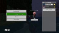 MINECRAFT LIFESTEAL REALM CODE