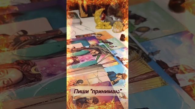 твоя личная жизнь в декабре
