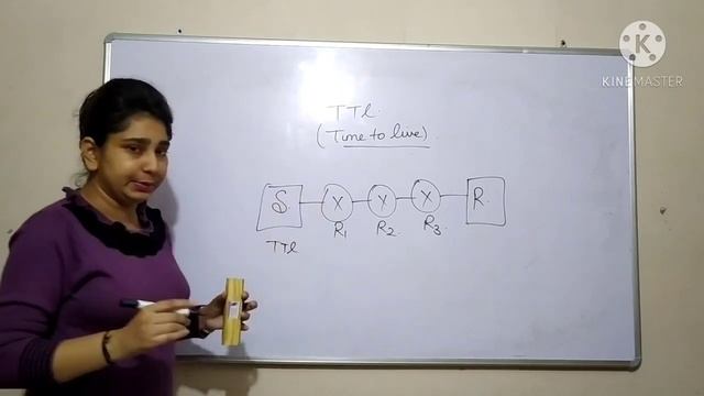 44.TTL(Time to Live)