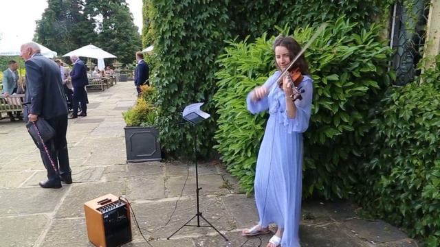 Counting Stars (Part 2), Violin Cover