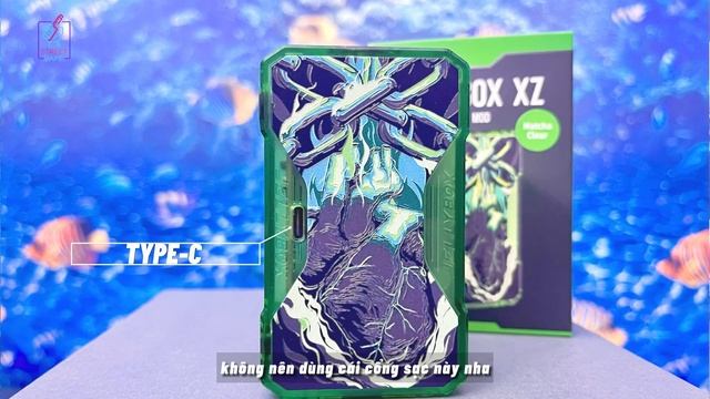 Review Rincoe Jellybox XZ