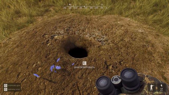 ОХОТА НА БЕЛОХВОСТИКА  - Way of the Hunter # 09