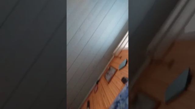 прикол. ругань с начальником.