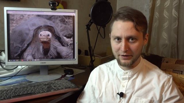 Ваши потомки их никогда не увидят! | Недавно вымершие животные