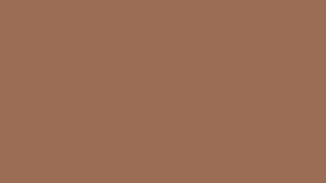 Light gray-red-brown color #966A57 HD Светлый серо-красно-коричневый цвет