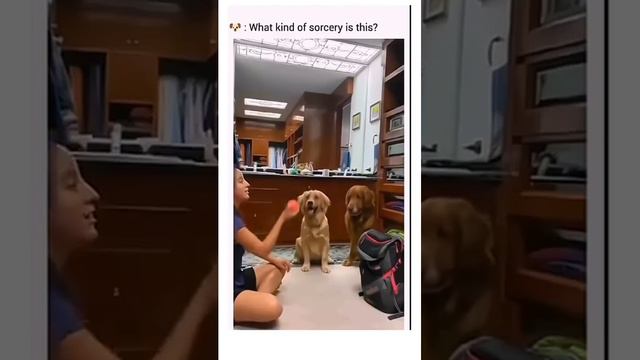 где больше
