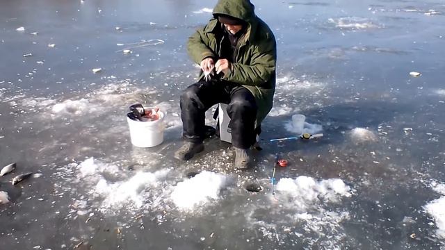 РЫБАЛКА В АСТРАХАНИ  2019 . КАРАСЬ ЛЮТУЕТ.