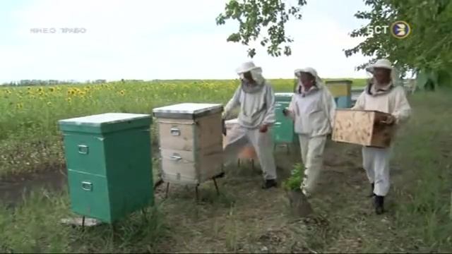 Имею право Абзелиловский район