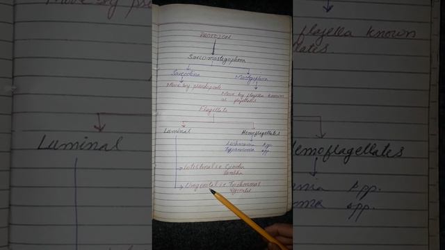 Lec#2 |Classification Of Flagellates Protozoan | Hemofalgellates | Intestinal Falgellate |urdu-hind