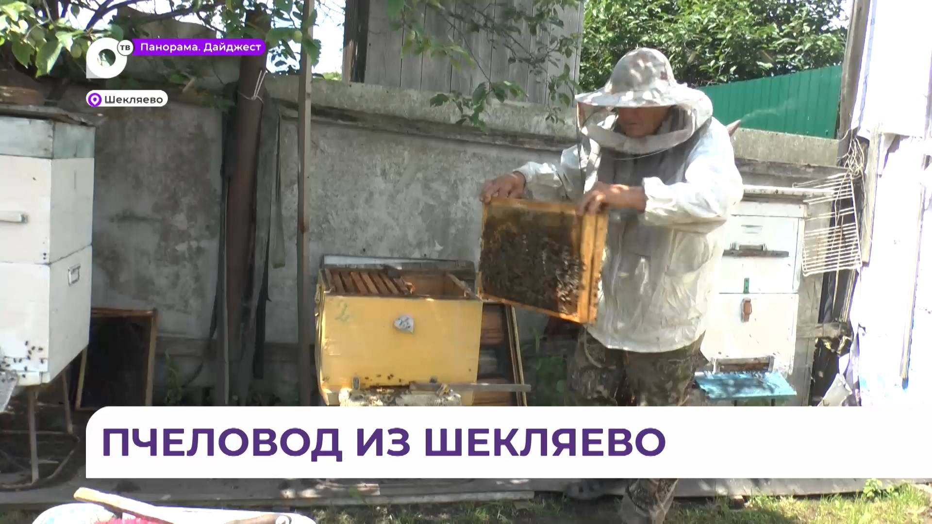 Пчеловод из села Шекляево Анучинского района усиливает свою пасеку новыми пчелосемьями