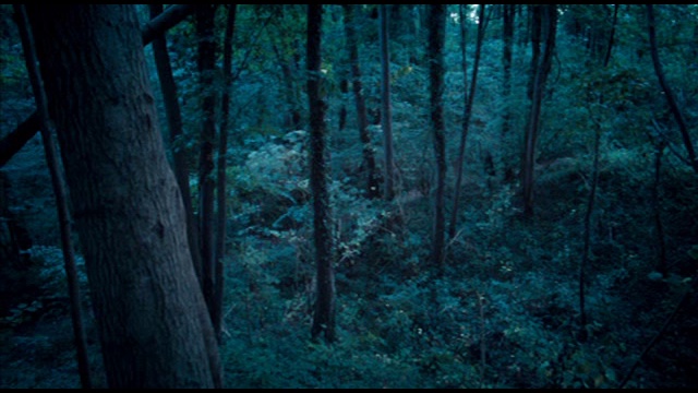 Merlin S 01 EP 12