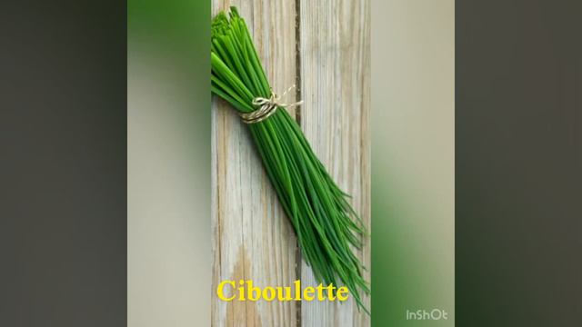 النباتات العطرية  (الجزء1) Plantes aromatisées