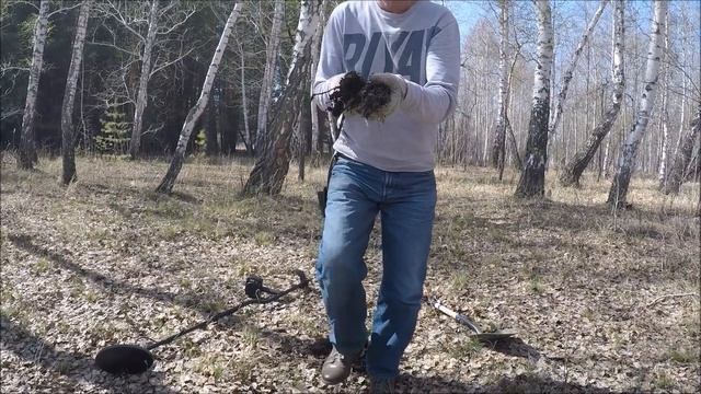 Начал копать и обомлел! Сколько их там!
