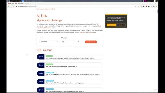 Web Security Academy - Introduction