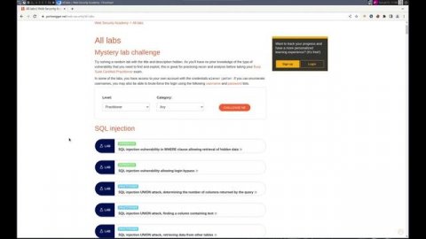 Web Security Academy - Introduction