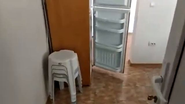 Дельфин Алушта