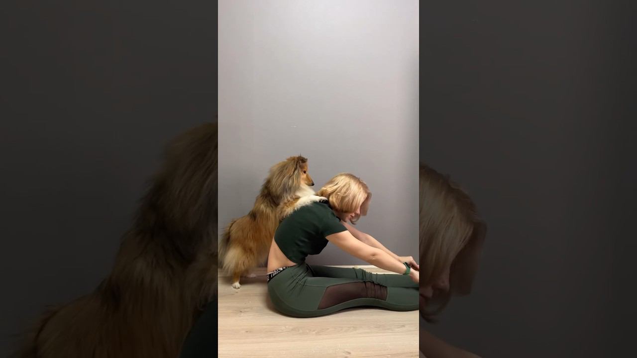 Зарядка с собакой