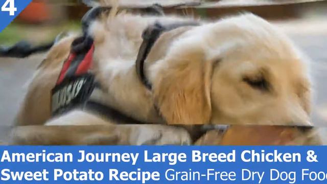 Best Dog Food For Golden Retriever [TOP 7 WITH BEST INGREDIENT 2021 ]