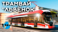 Трамвай 71-911ЕМ "Львёнок"| Развитие городского электротранспорта 2024