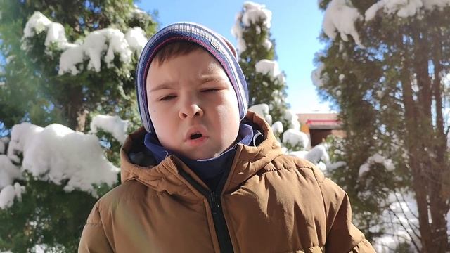 Н. Некрасов отрывок из поэмы 