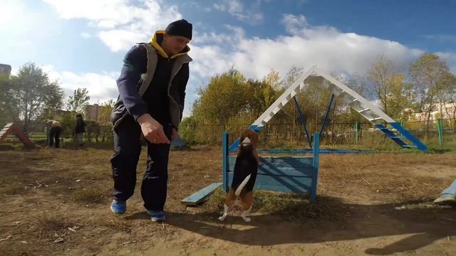 Бигли встреча