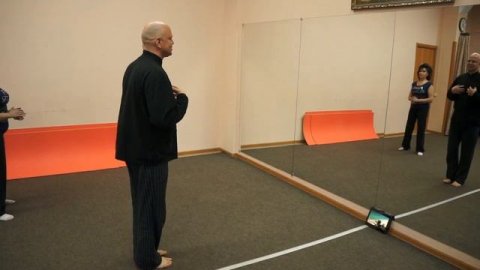 Тигр в лесу