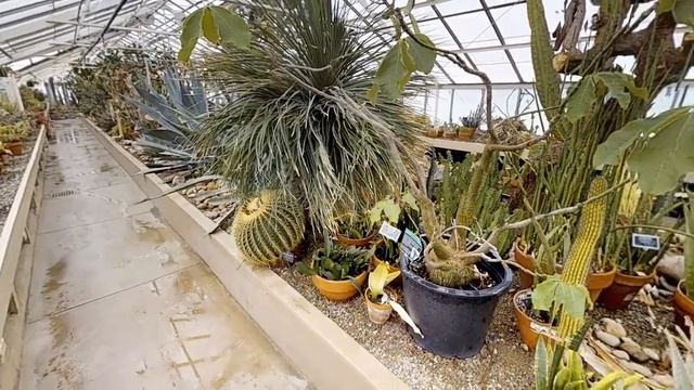 Виртуальная прогулка по БОТАНИЧЕСКОМУ САДУ. The Buffalo Botanical Gardens.