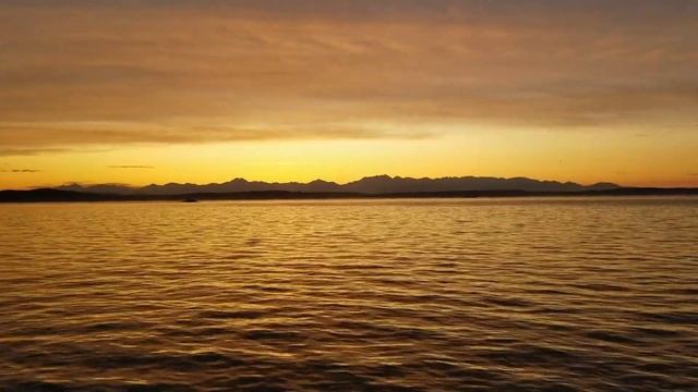 Calm Meditation Music | Relaxing Music, Calm Music, Sleep Meditation, Study Music | Yoga Nidra Slee