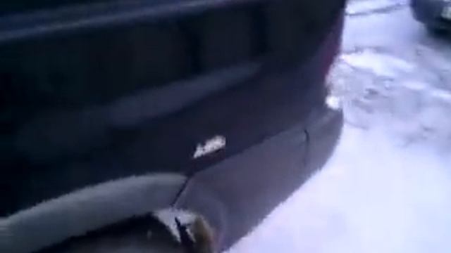 Дизель, муссо.mp4