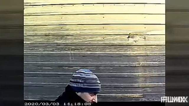 Хамка Алчевска