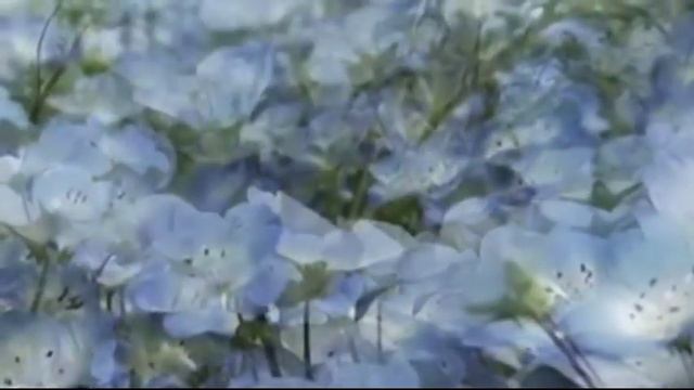 Secret Garden- Нежность души...