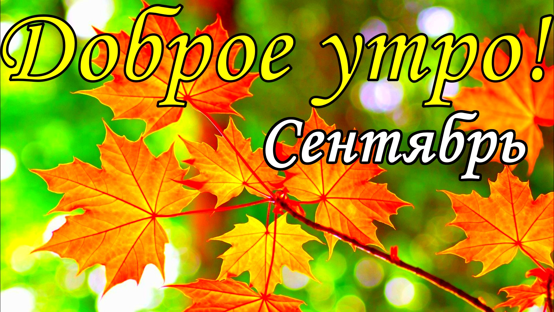 Доброе утро! Счастливой осени! Красивое пожелание с добрым утром . Открытка с добрым утром!